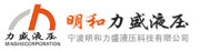Ningbo Minghe Lisheng Hydraulic Technology Co., Ltd.
