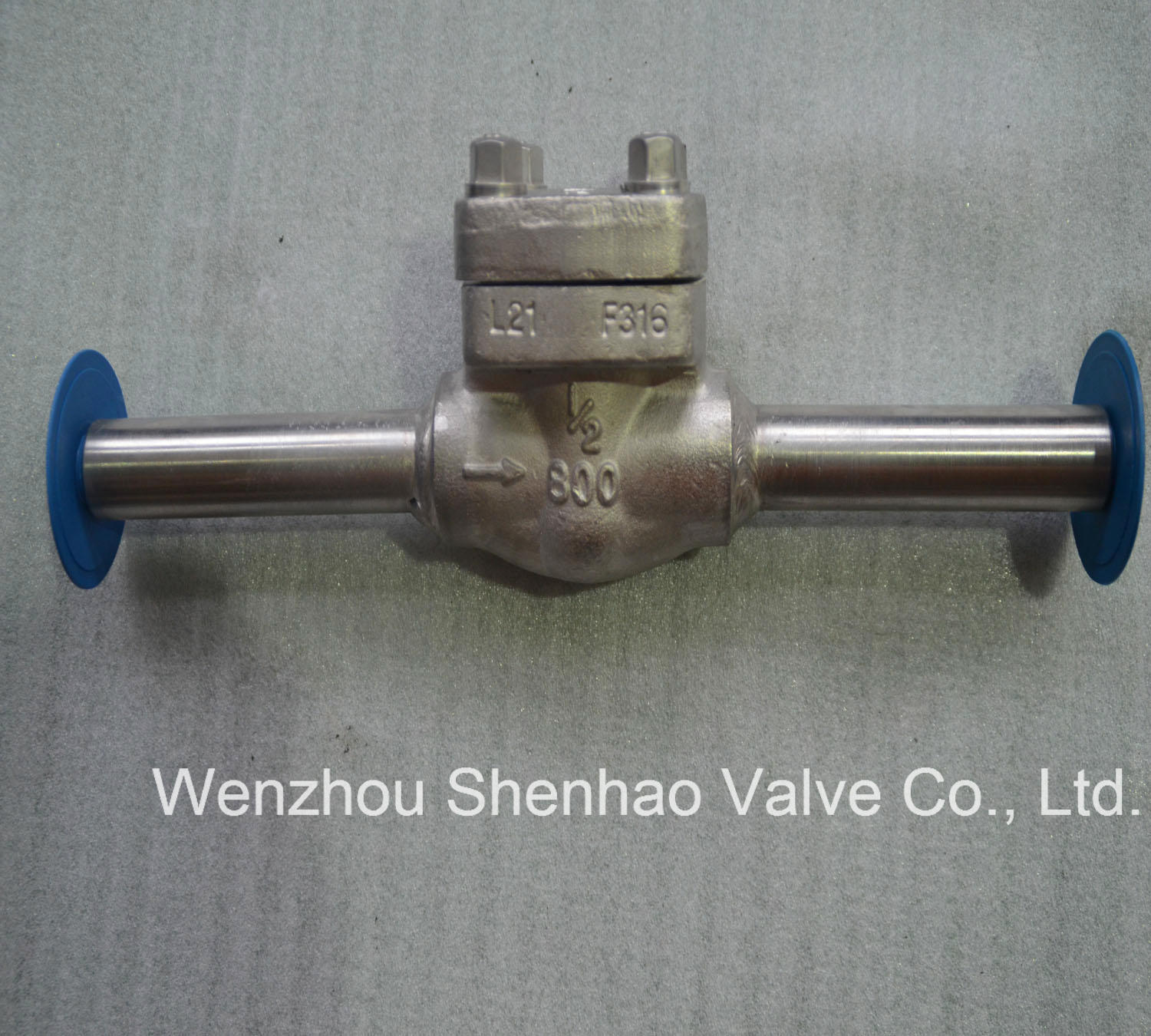 Stainless Steel Forged Check Valve