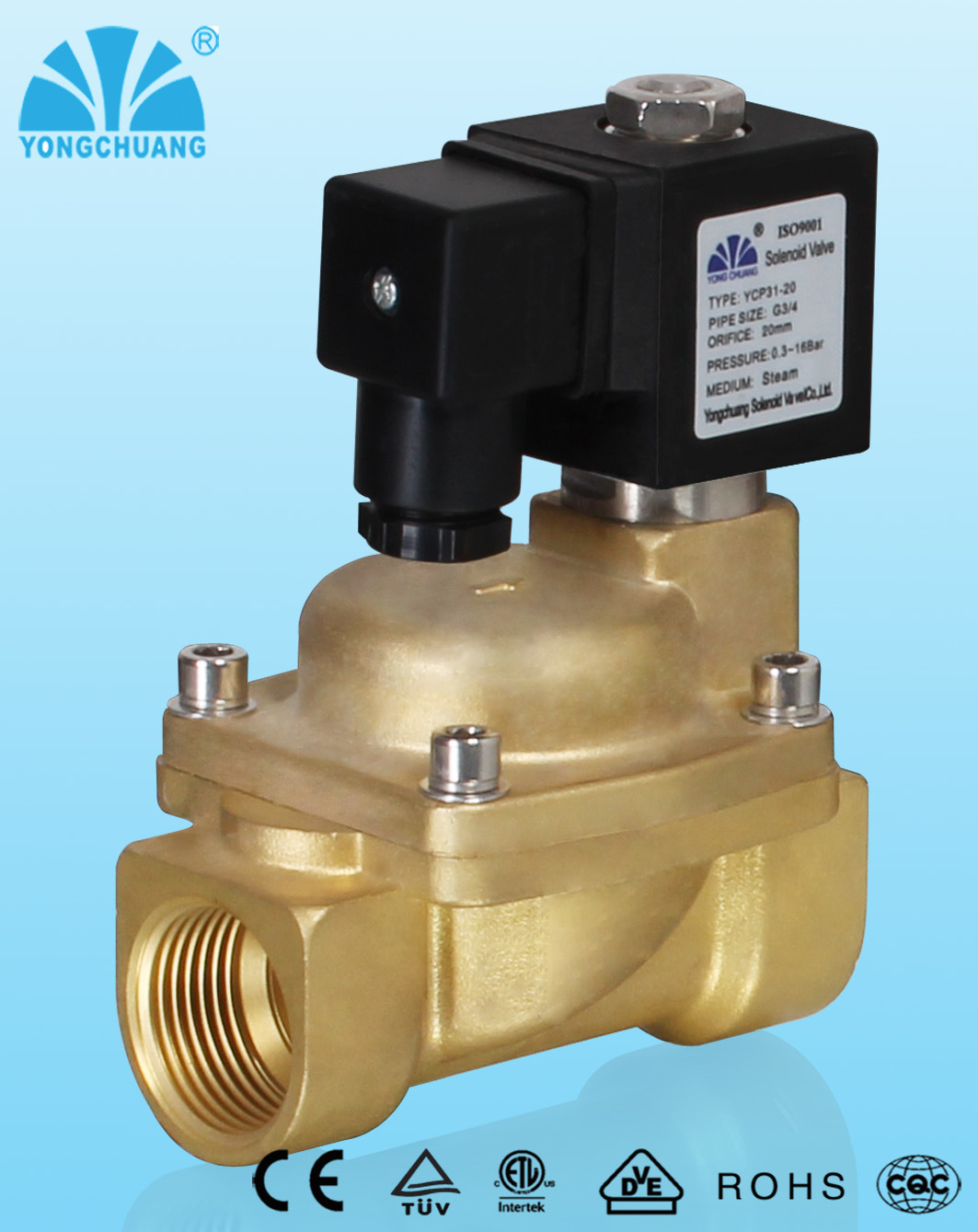 2 Way Piston Pilot Operated Steam Solenoid Valve Normally Closed