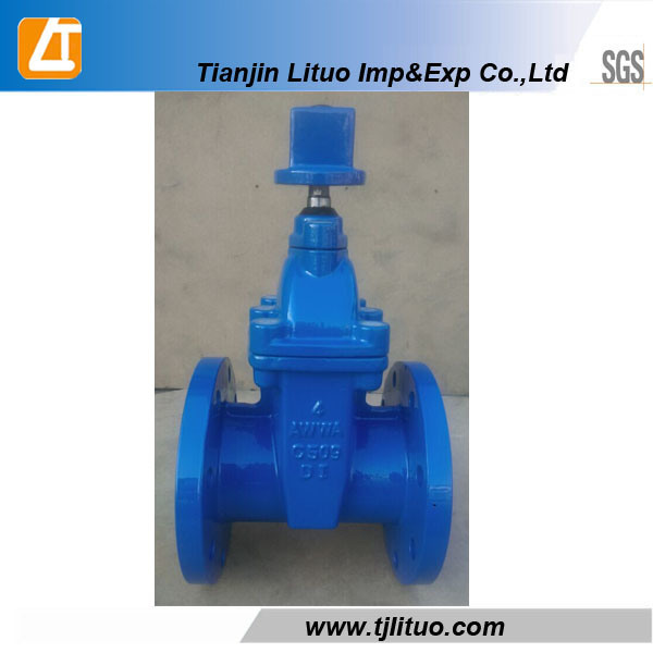 Competitive Price High Quality OS&Y Gate Valve, 6 Inch Water Gate Valve