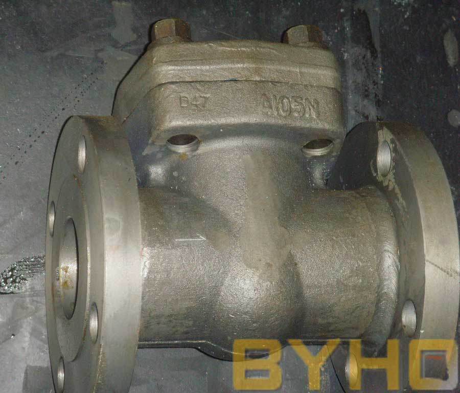 API 602 Forged Steel Flanged Check Valve