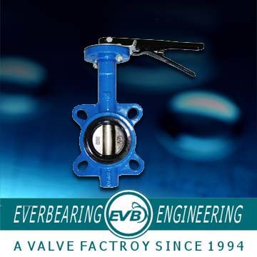 Butterfly Valve (CI-058-Y)