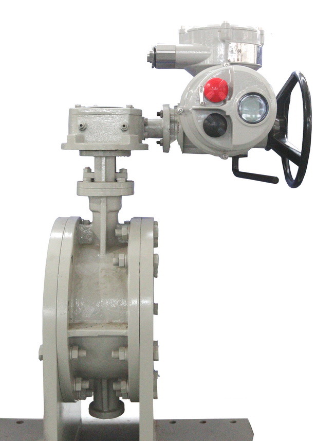 Electric Multi-Turn Actuator for Rotary Valve (CKD16/JW125)