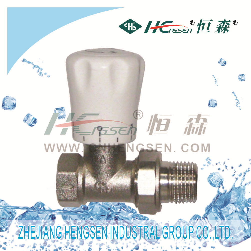 Brass Ball Valve (Female & Male) / Pipe Fitting