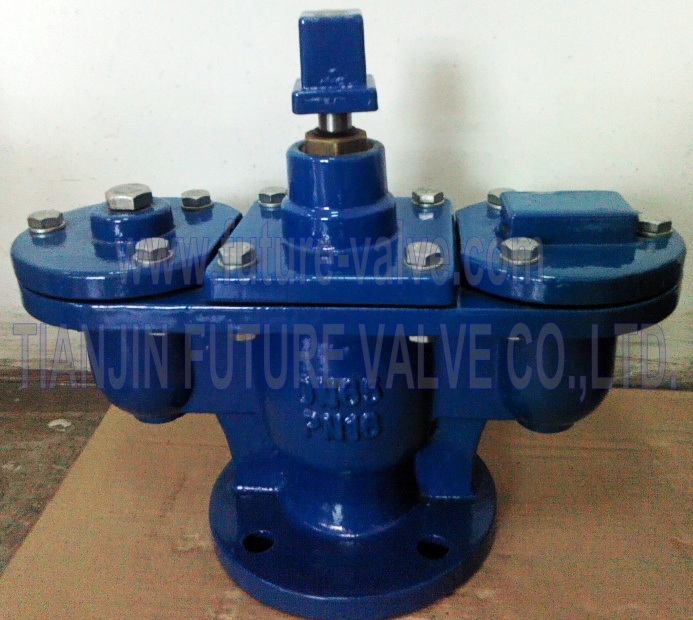 DIN Cast Iron/Di Double Ball Automatic Air Valve Flanged End