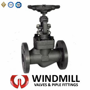 API Forged Steel Flanged Ends Globe Valve A105