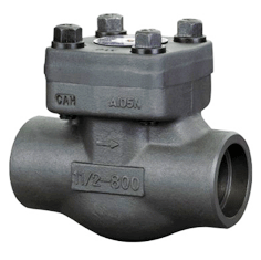Forged Check Valve/Industrial Valve