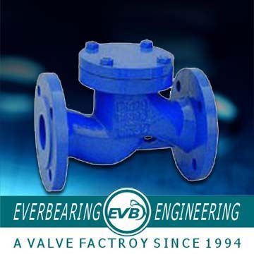 Supply for Low Price DIN Standard Check Valve