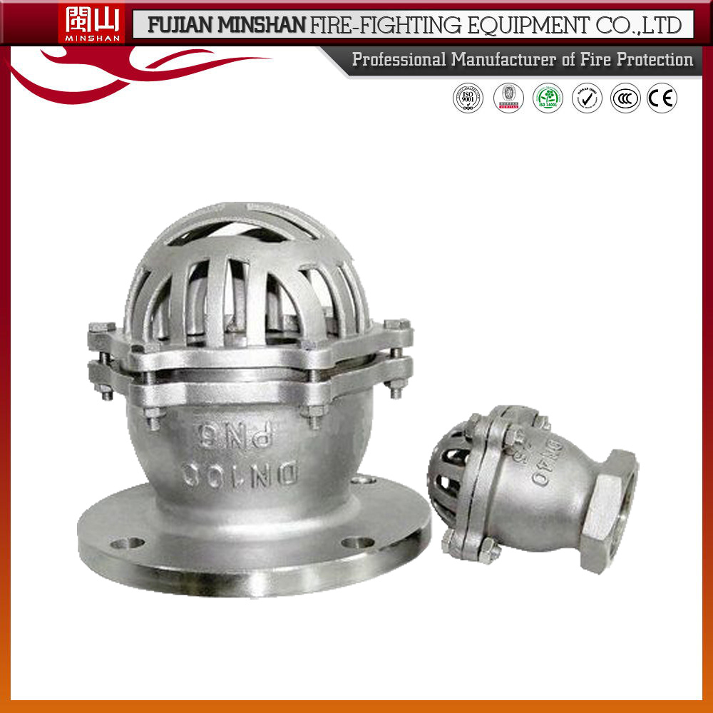 Ss304 Swing Flanged Foot Valve