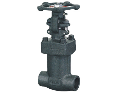 The Forged Bellow Seal Valve