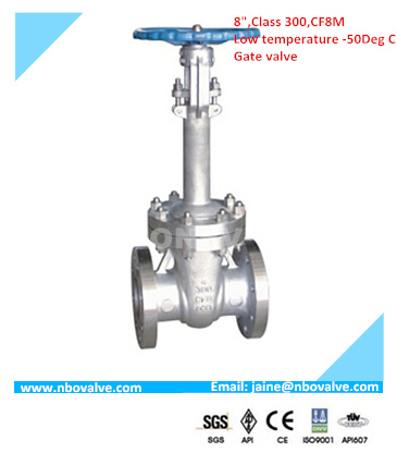 Low Temperature Stainless Steel CF8m Gate Valve (8