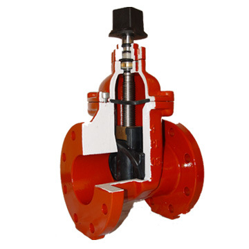 Ductile Iron Resilient Wedge Gate Valve