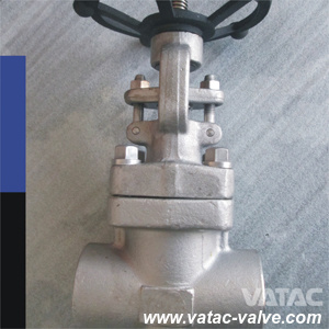 API 602 OS&Y F304 Gate Valve with Screwed Ends