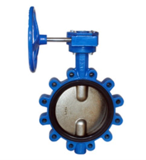 Manual Actuator Lug Type Butterfly Valve