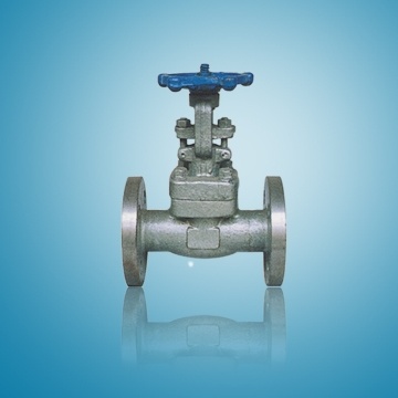 Forged 304ss Gate Valve RF 600lbs