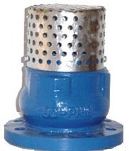 Ss Strainer with Silence Check Foot Valve