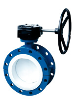 Worm Cast Iron Flanged Butterfly Valve
