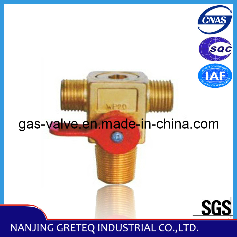 QF-T1M1 Best Price CNG Cylinder Valve for Auto (CNG Kit)