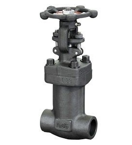 Forged Steel Bellows Seal Gate Valve Wz41h