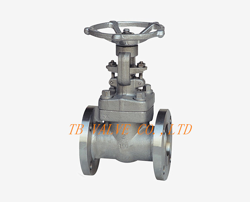 Forged Stainless Steel Flange Globe Valve