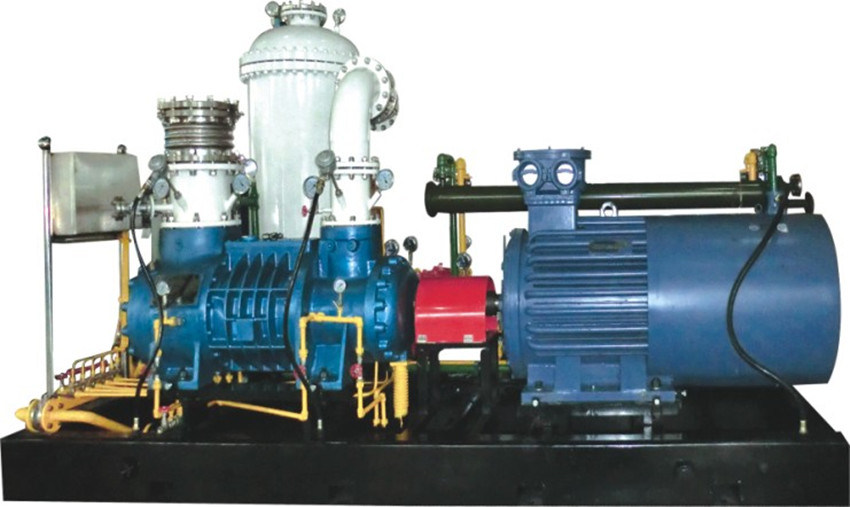 Popular Supplier of Methane Gas Screw Compressor Unit: Lgm60/0.004-0.7