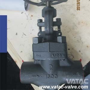 Forged Steel Globe Valve with RF/NPT/Bw Ends