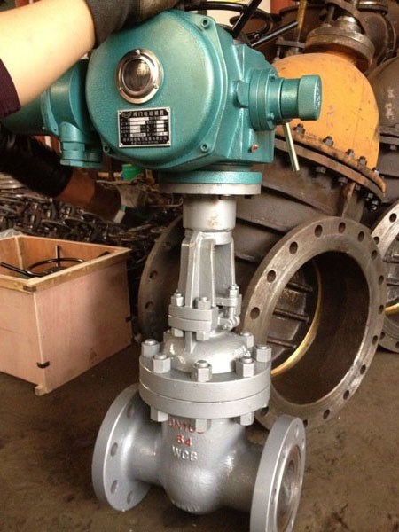 Stainless Steel Electric Flanged Gate Valve