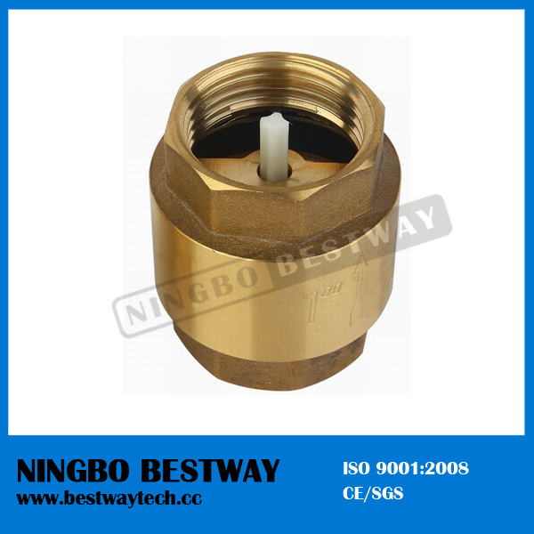 Brass Spring Check Valve with Plastic Core