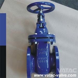 Resilient Seated Gate Valve in DIN / BS Standard (Z41X)