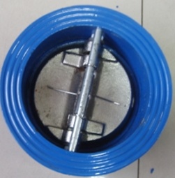 Cast Iron Wafer Type Butterfly Check Valve