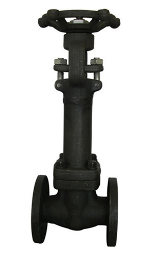 Forged Steel A105 Bellow Sealed Valve