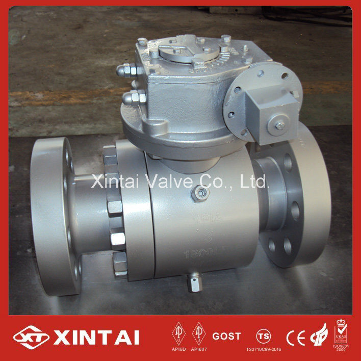 Gear Operated 2PC Forged Fixed Dbb Ball Valve