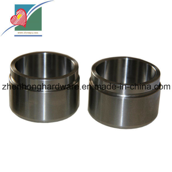 Stainless Steel Plunger Cover (ZH-pH-002)