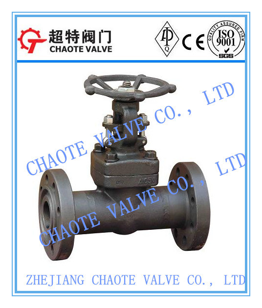 Flanged End Forged Steel Gate Valve (Z41H)