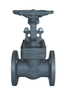 Ductile Iron Metal and Full Forged Steel Gate Valve