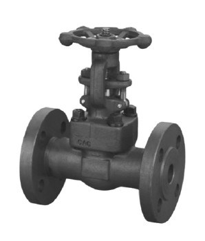 Forged Steel Interal Flanged End Valve