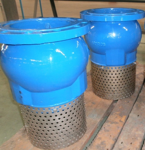 Cast Iron/Ductile Iron Flanged End Foot Valve