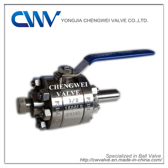 Forged Steel Floating Ball Valve with Pipe Plug