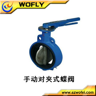 Dn 50 Cast Iron Wafer PTFE Lined Butterfly Valve