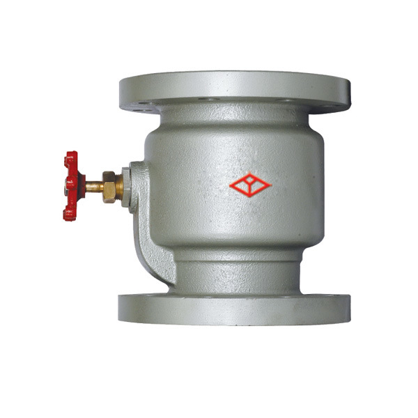 10k Vertical / Swing Check Valve with ISO
