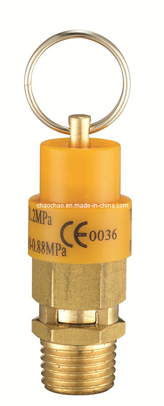CE Certified Rubber Safety Valve (CAXD2. III)