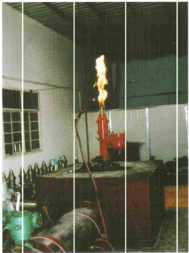 High Velocity Relief Valve with Fire Resistance
