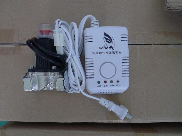 China Home Gas Leaking Detector and Solenoid Valve with High Safety