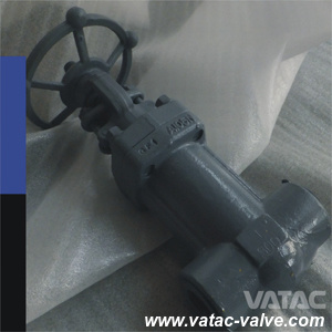 Cast and Forged Steel Bellow Sealed Gate Valve with Manual Operation