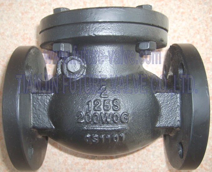 ANSI 125 150 2 Inch Swing Type Flanged Check Valve (H44T-125)