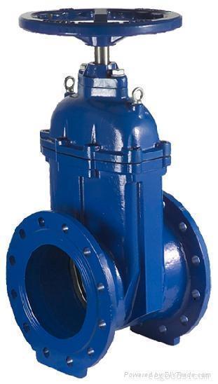 ANSI Standard 800lbs A105 Forged Steel Gate Valve