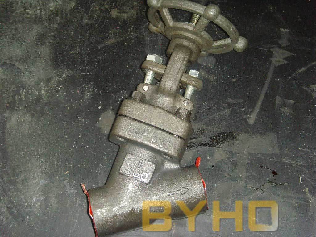 A105 Y Type Forged Steel Globe Valve