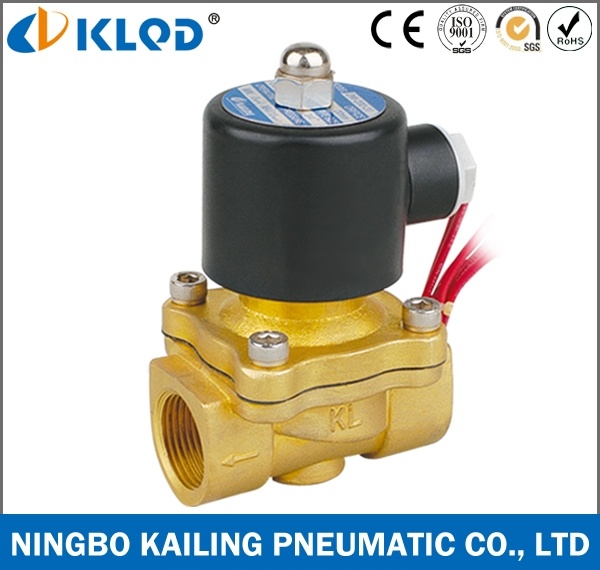 Electric Control 2/2 Way Water Valve with Brass Body 2W