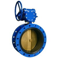 Butterfly Valve with Double Flange End