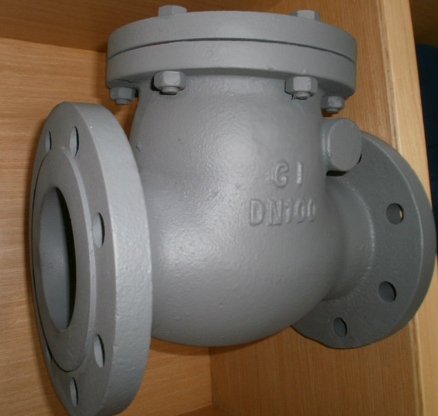 Cast Iron/Ductile Iron Flanged End Swing Check Valve